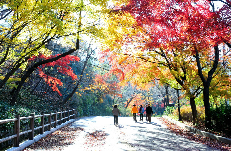Ngỡ ngàng với vẻ đẹp mùa thu Hàn Quốc - Air Booking
