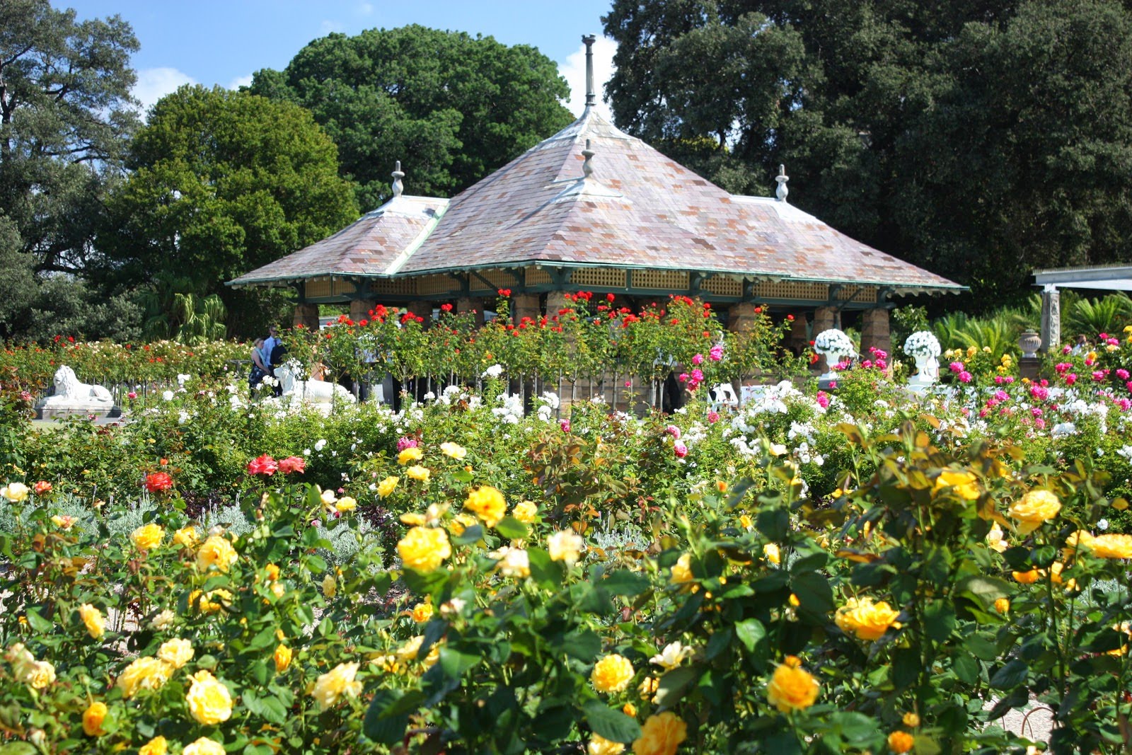 Royal Botanic Gardens sydney